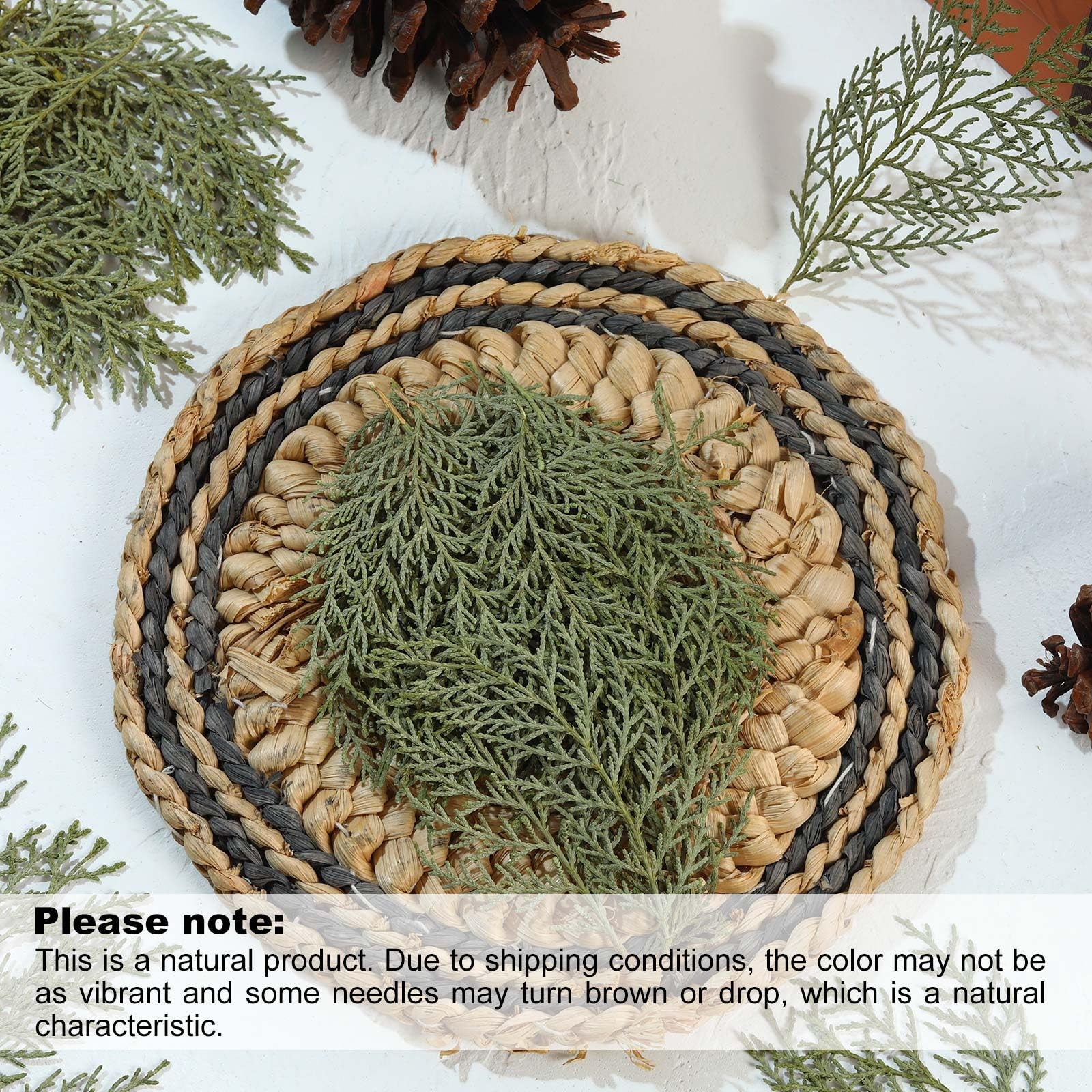 Real Pressed Pine Leaves Branches for Christmas Crafts, Natural Dried Botanic…
