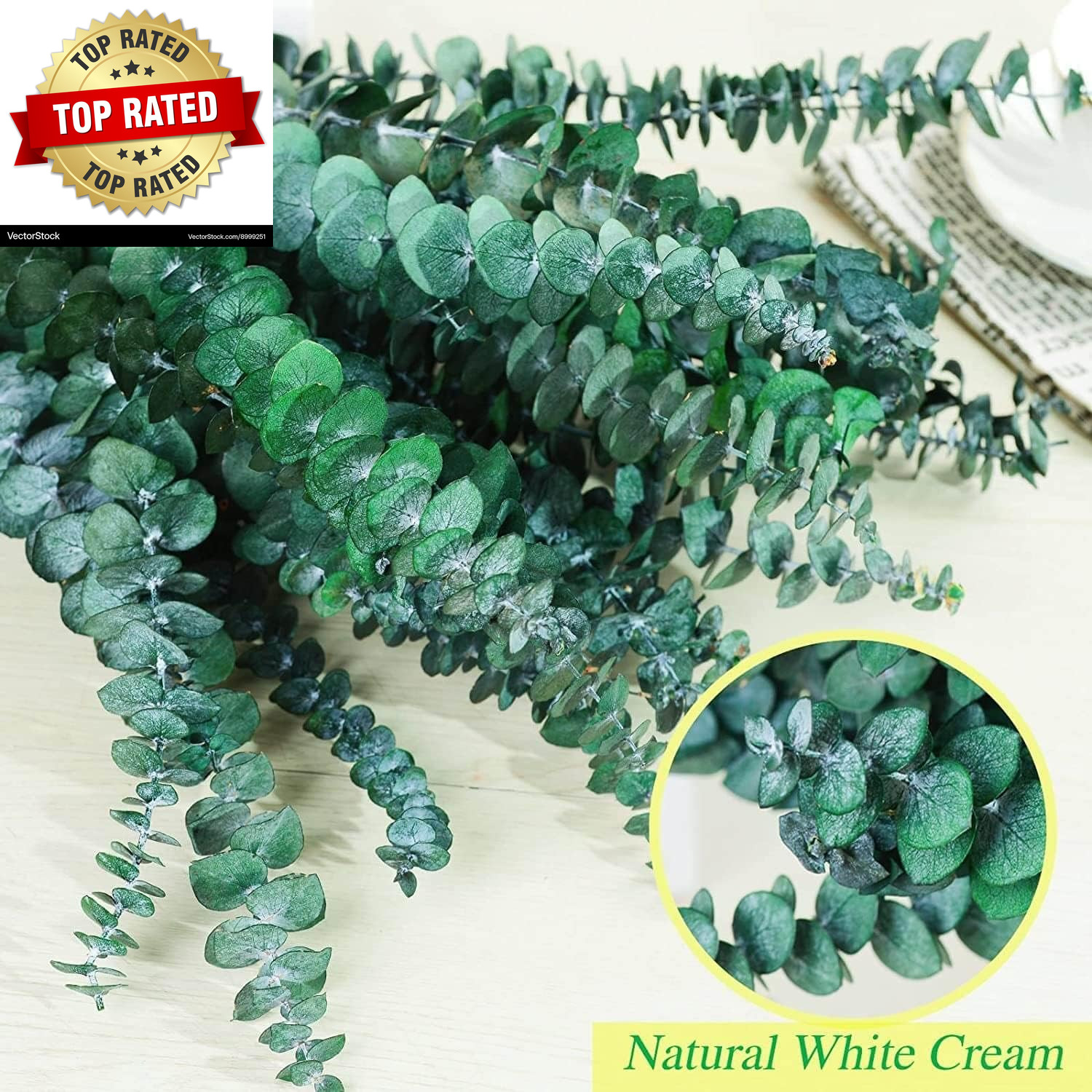 Bulk Package 30 PCS Real Dried Eucalyptus Plant Large Stems for Shower
