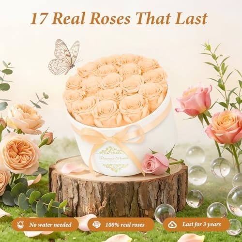 17 Preserved Forever Flowers in Luxury Suede Box – Romantic Gifts for Her, Anniv