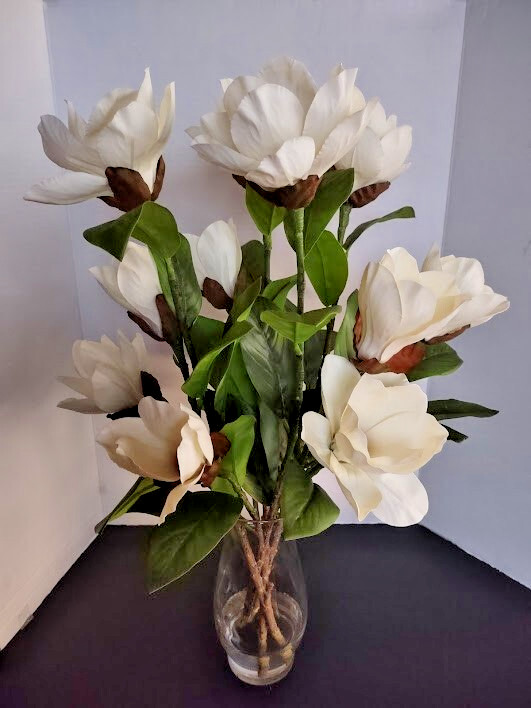 Magnolia stem bouquet water illusion