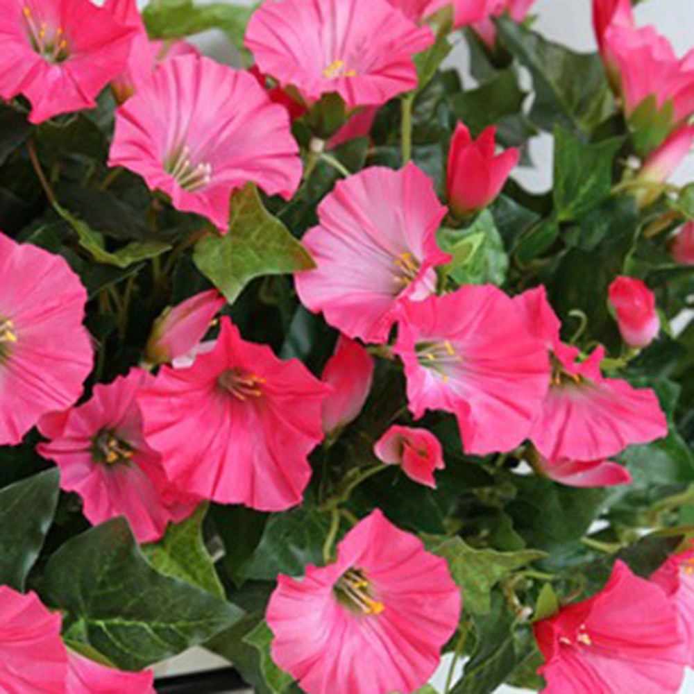 New Fashion Vine Artificial Morning Glory Petunia Shop Wedding 35cm Decor