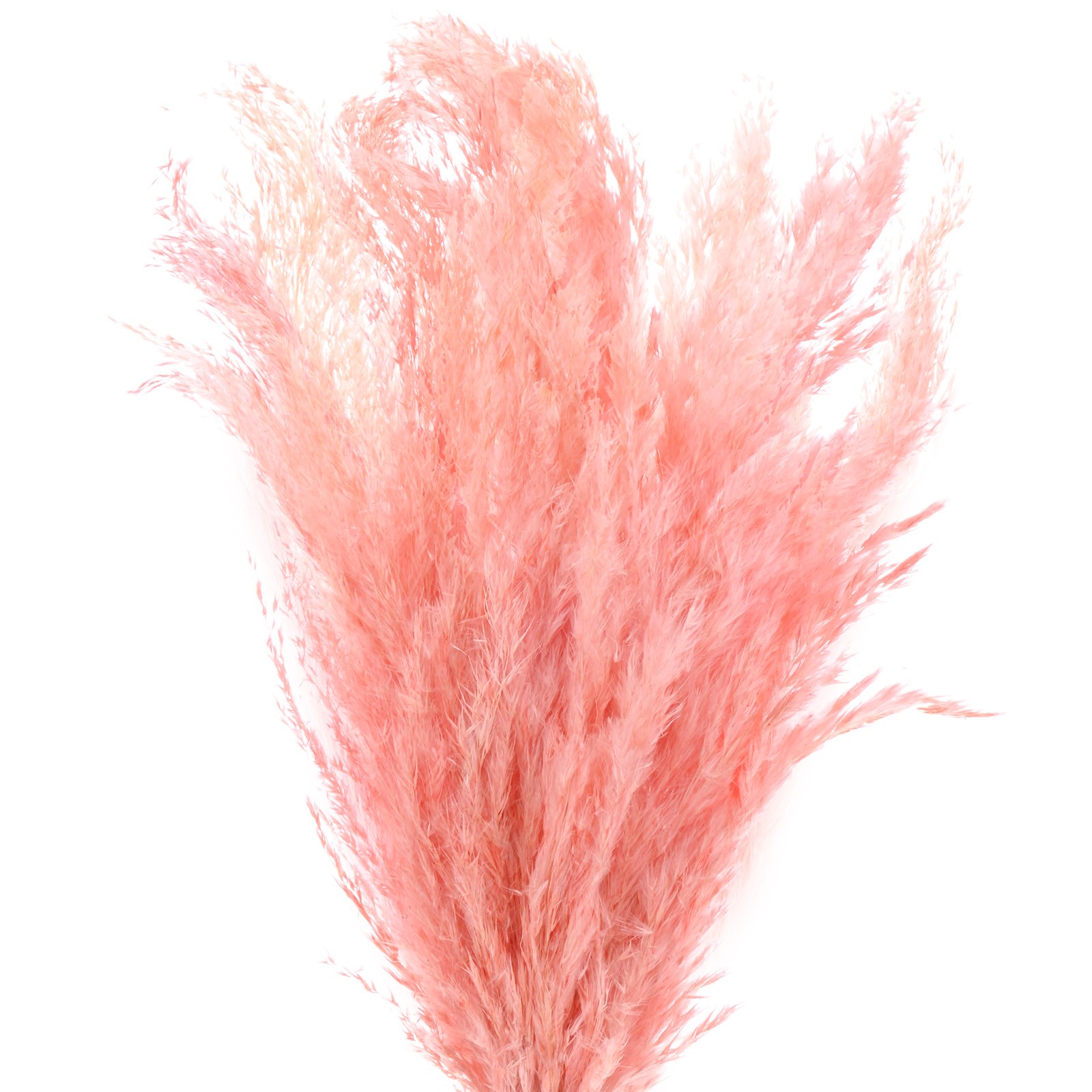 10-Pack Faux Pampas Grass 18 Inch for Home Decor/Wedding [Pink]