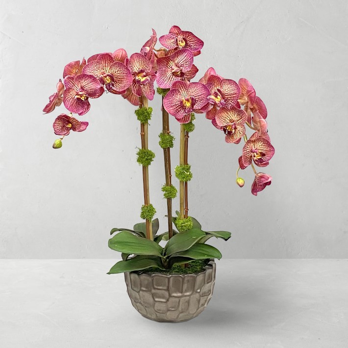 Faux Orchids in Planter, 23″-Williams Sonoma|46285