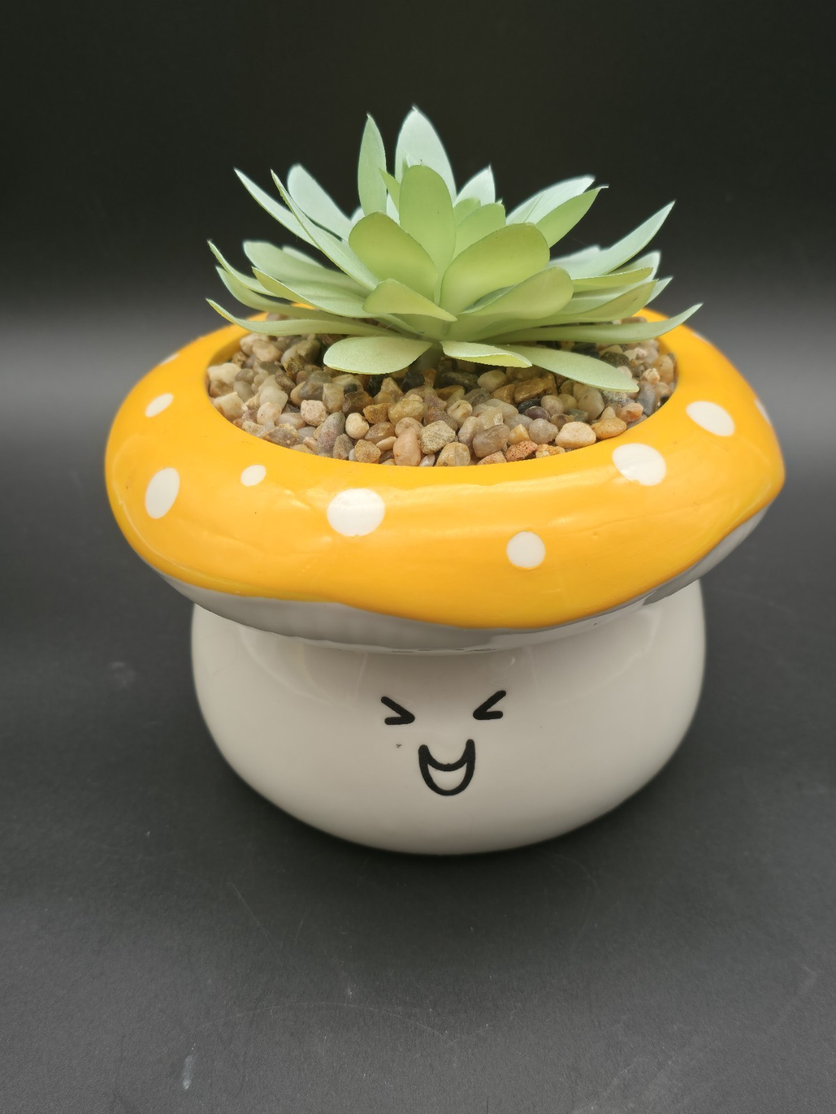 Succulent In Mushroom Pot With Face, Coffee Table Decoration