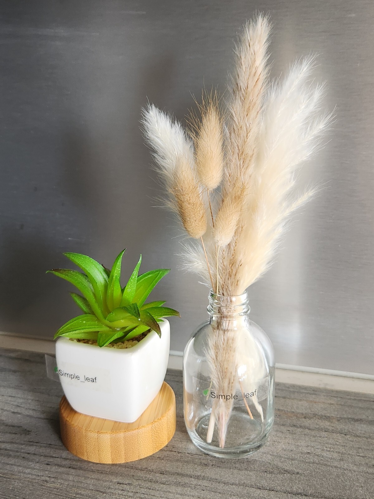 Decor Set – 3 Potted Artificial Succulent, Dried Grass Bouquet in Glass Bottle