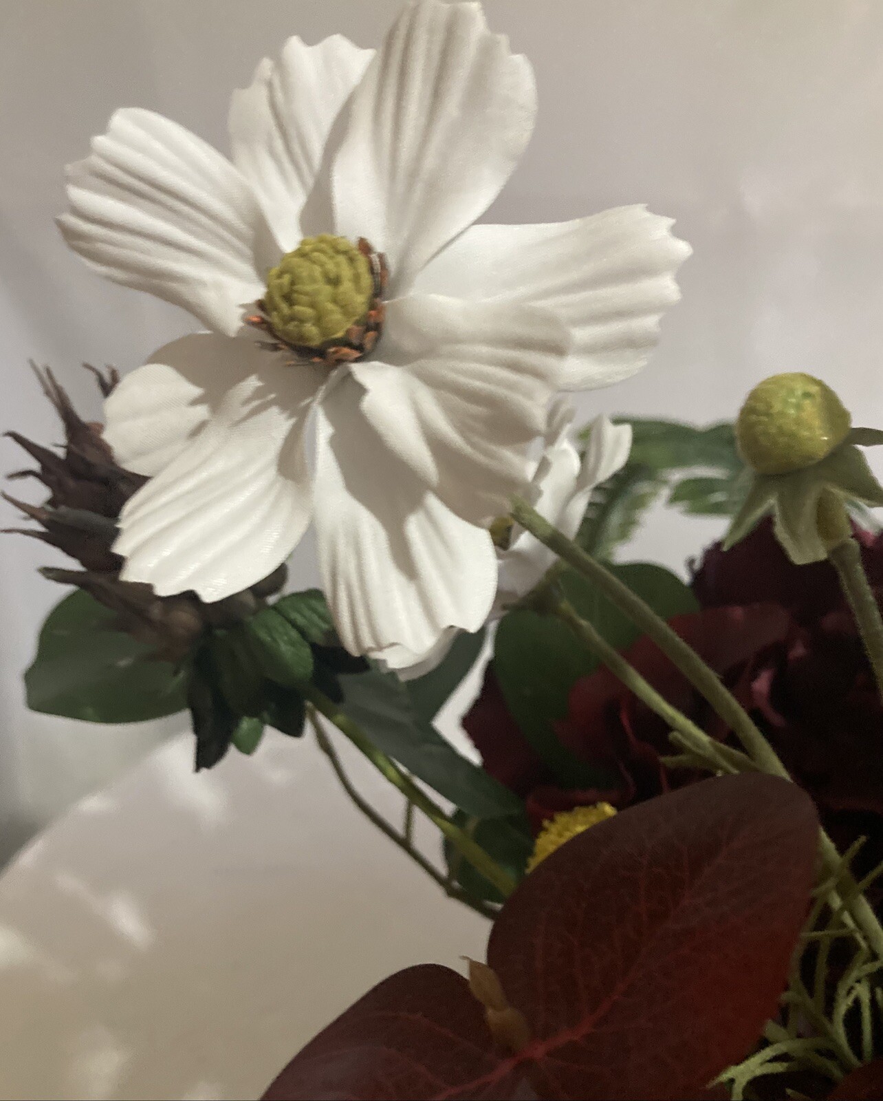 The Stately White And Red Rooster With White Cosmos And Yellow Sunflower
