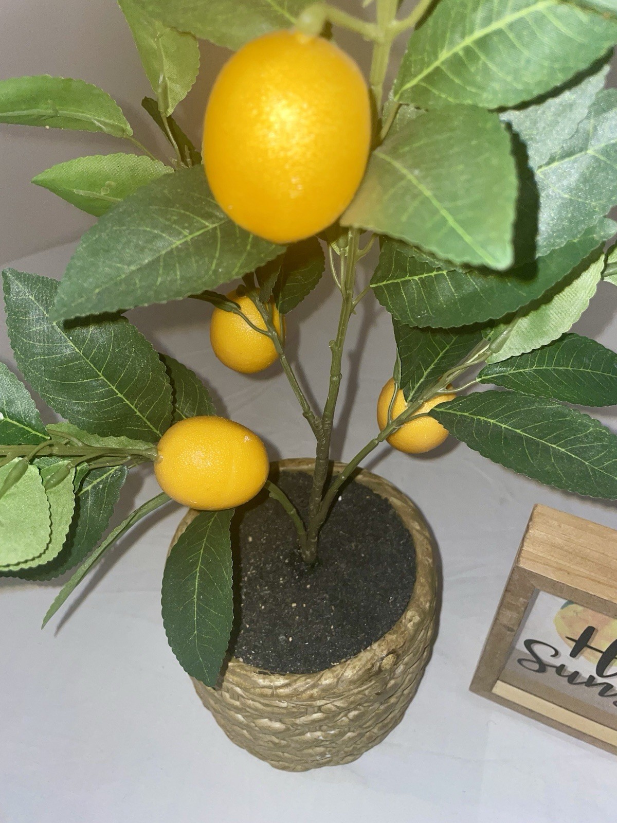 Decorative Artificial Lemon From A Small Faux Lemon Tree. Great for Home