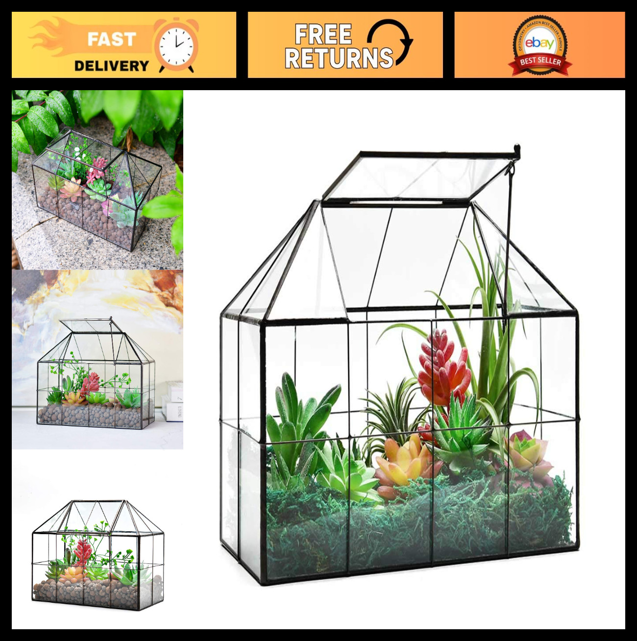 Large Glass Terrarium Planter – Succulent Greenhouse with Lid, 9.8″x7.9″x5.9