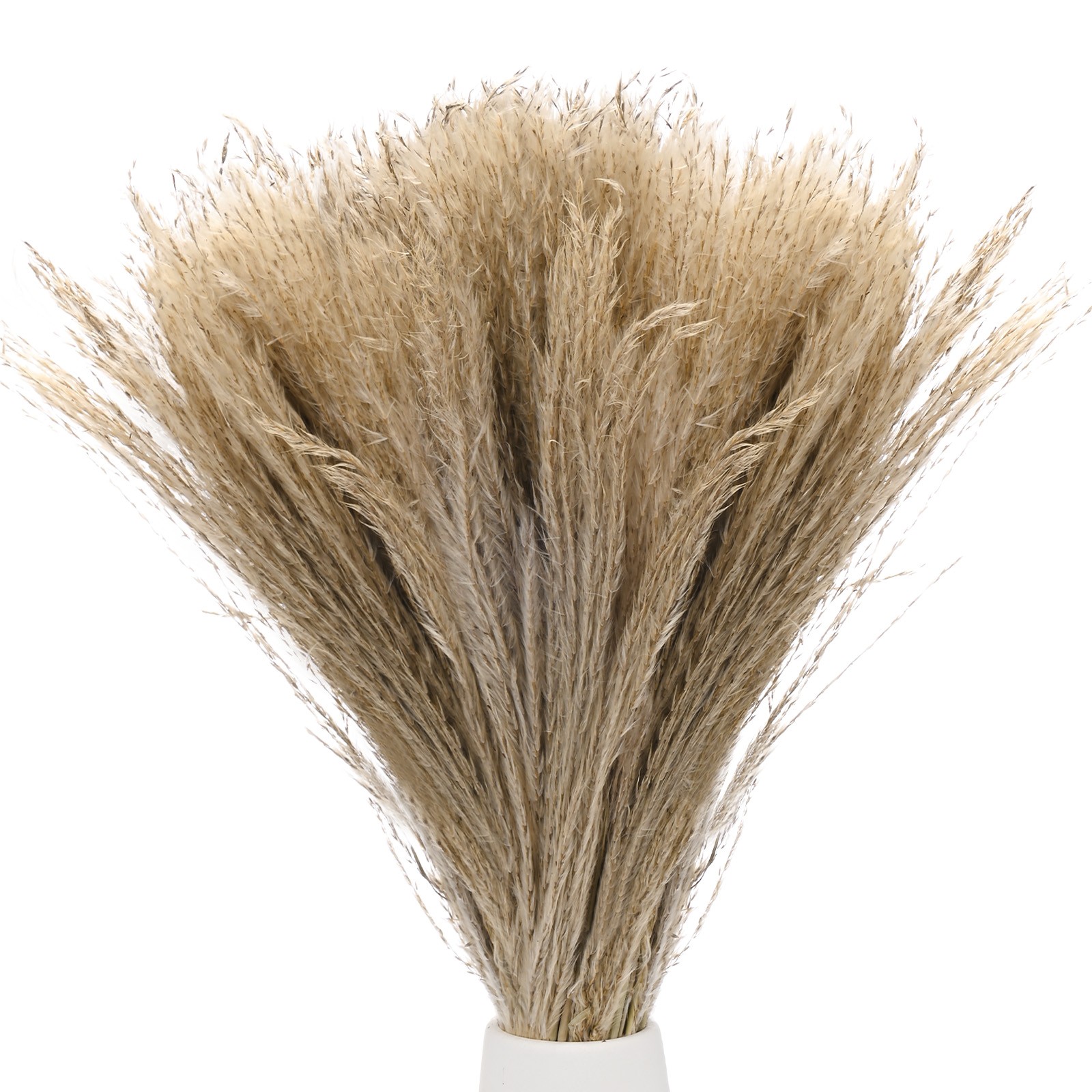 100-Pack Faux Pampas Grass 16 Inch for Home Decor/Wedding [Natural]