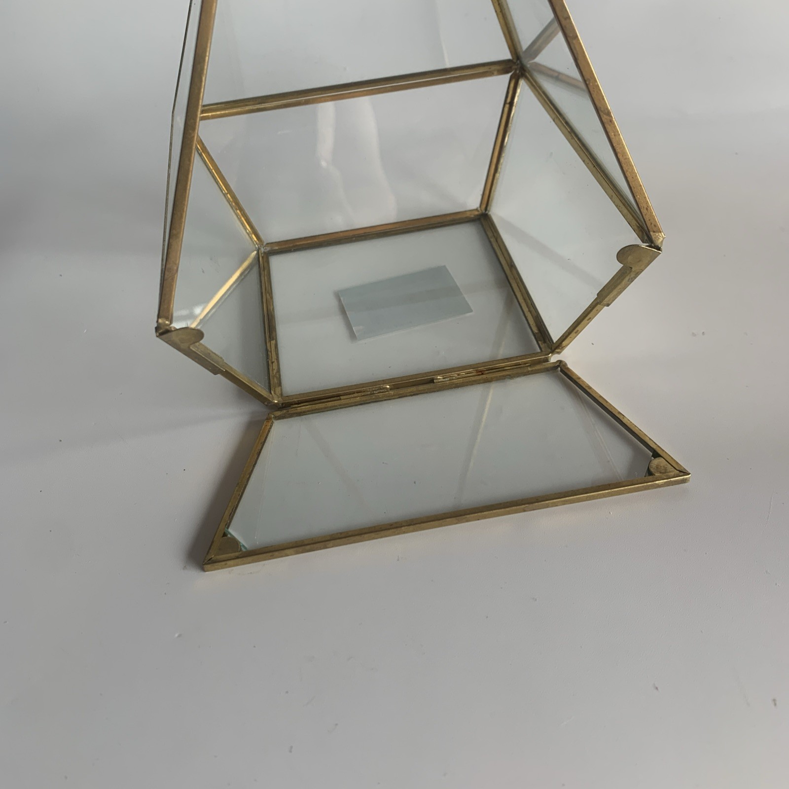 8 inch tall Brass and Glass mini terrarium for tabletop