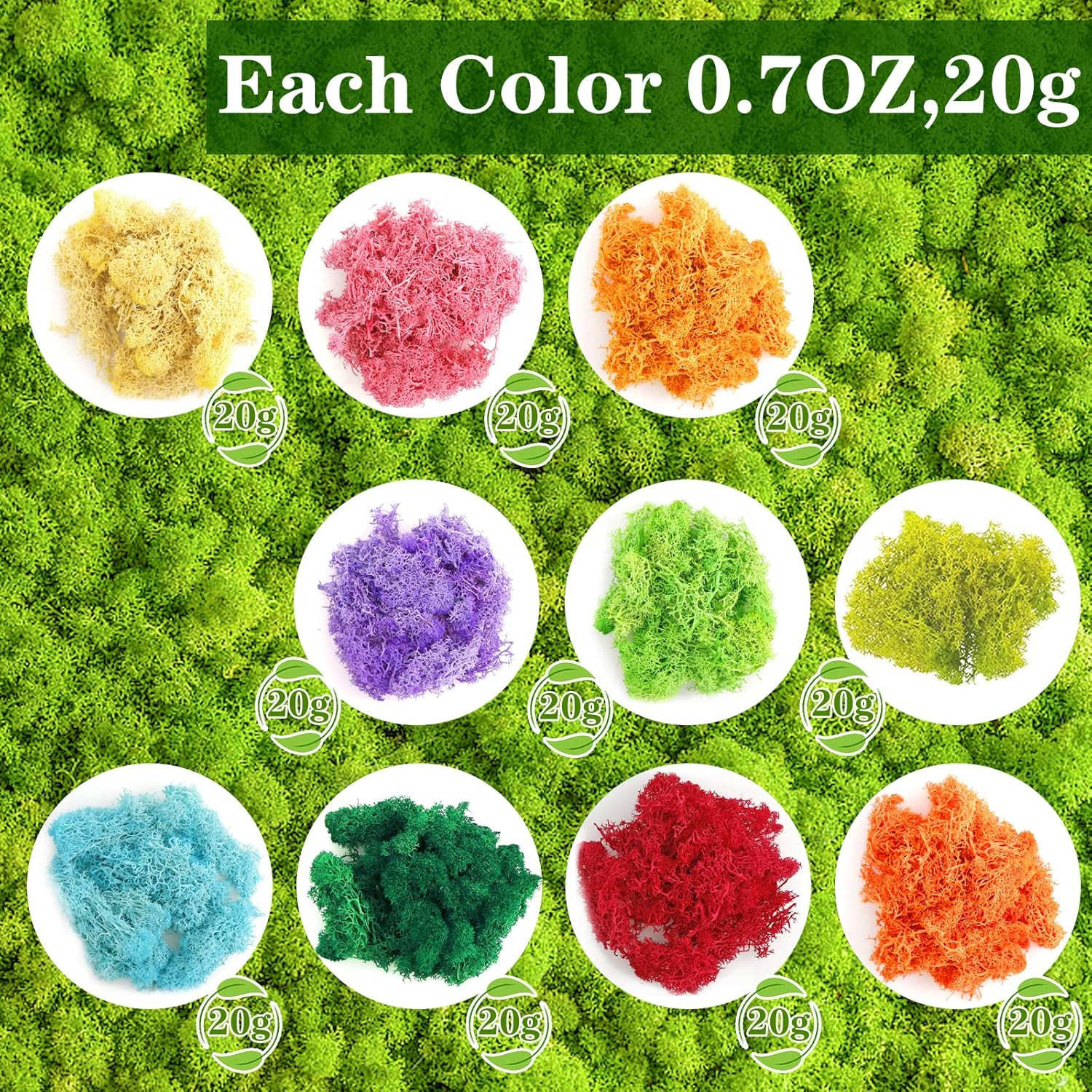 7 Oz Mixed Color Reindeer Lichen, 10 Colors 0.7 Oz Each Preserved Nordic Dried F