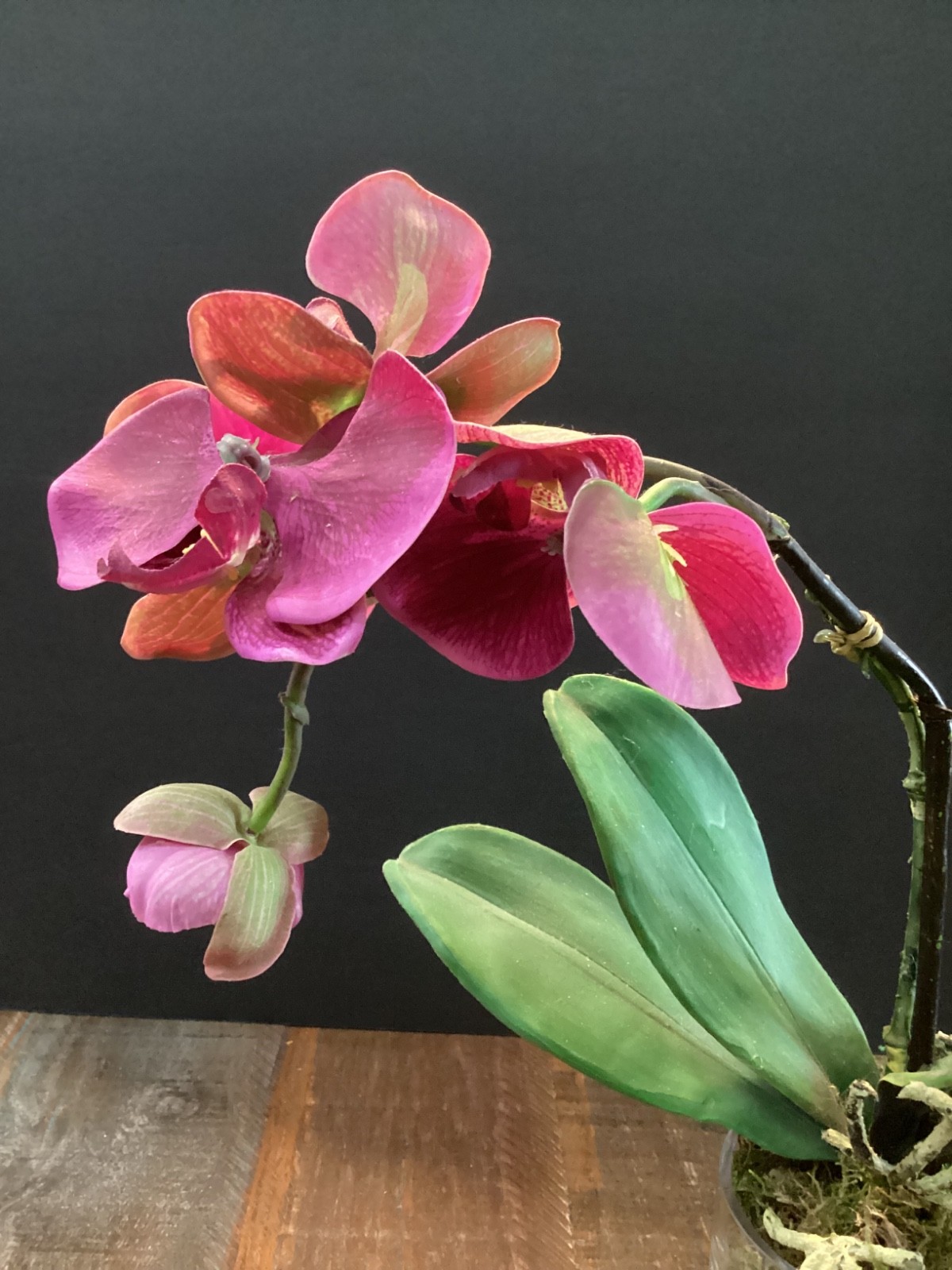 Realistic Artificial phalaenopsis Orchid plant in clear glass vase w/green moss