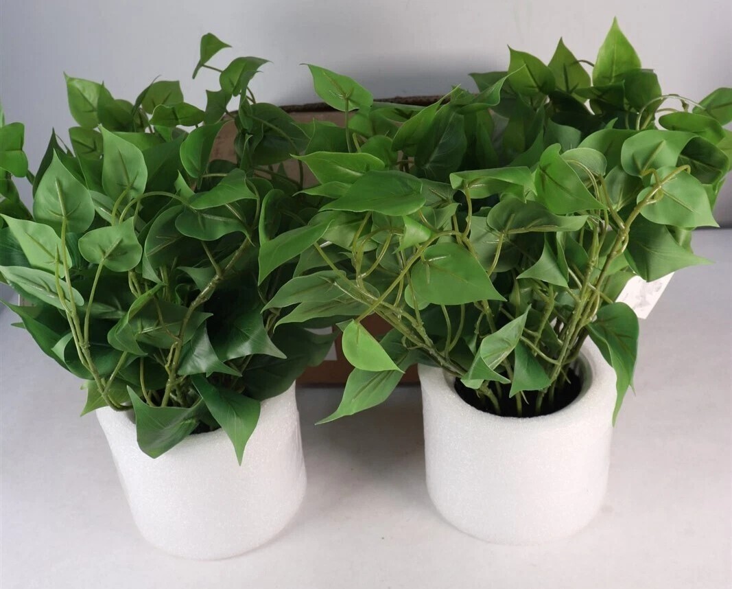 Lot of 2-14″ x 28″ Artificial Pothos Plant in Pot-Threshold New-Target Overstock