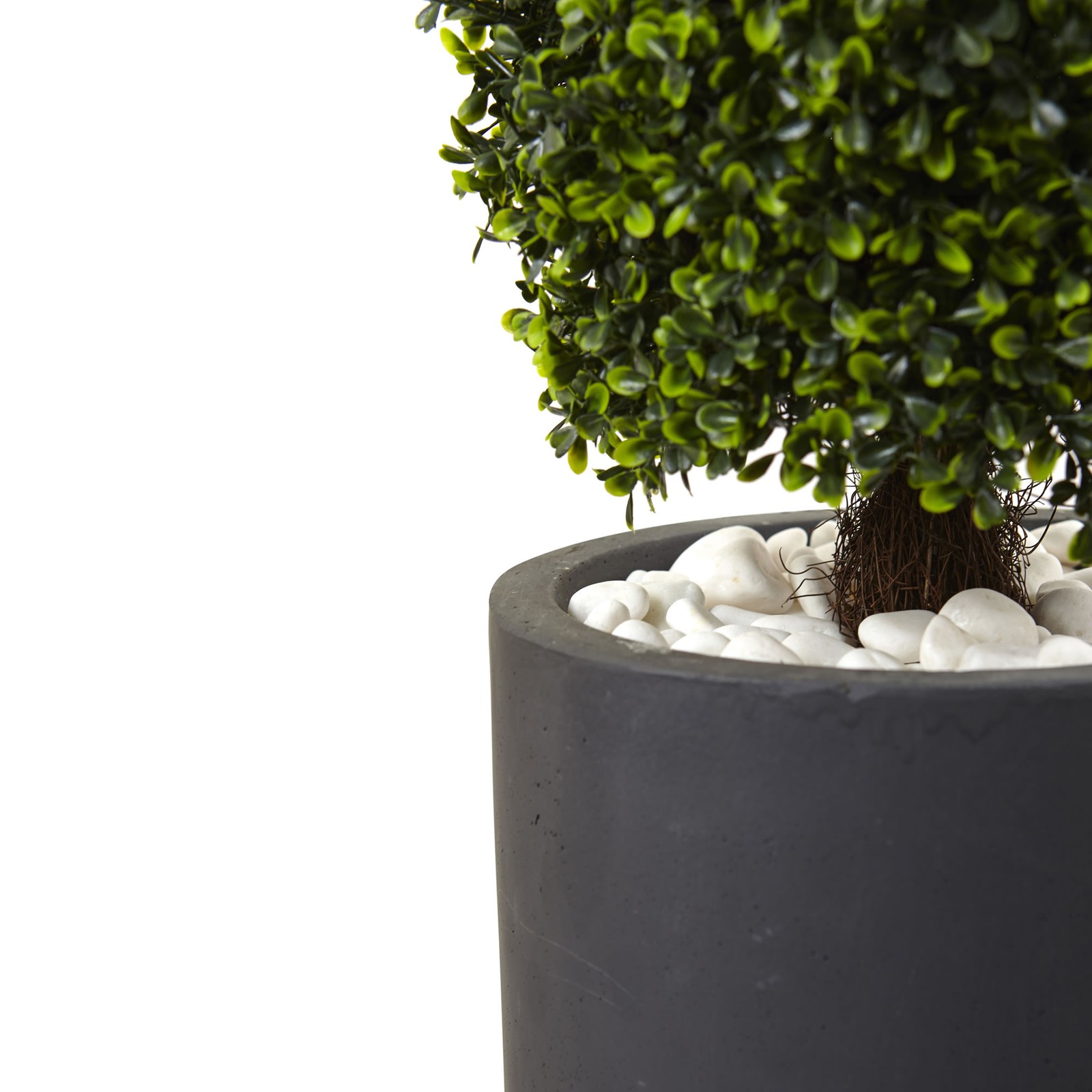 Indoor/Outdoor 50″ Boxwood Topiary with Cylindrical Planter in Green/Gray