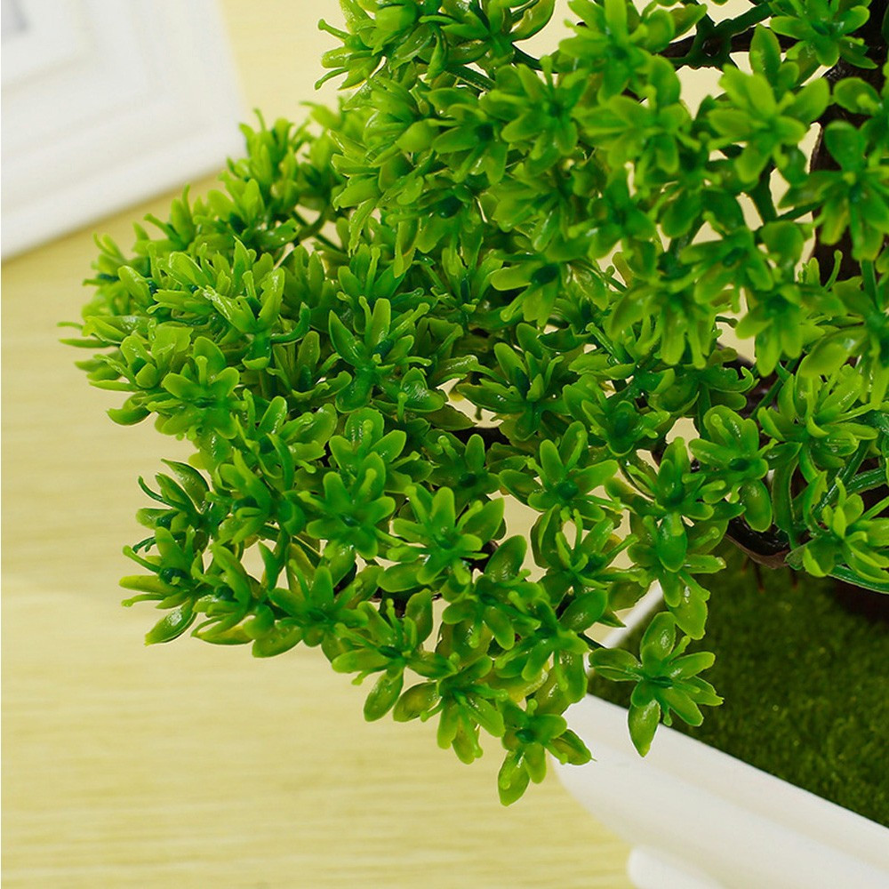 Green/Iris/Orange Red/Purple/Red/Yellow Potted Plant Stylish Home Decoration