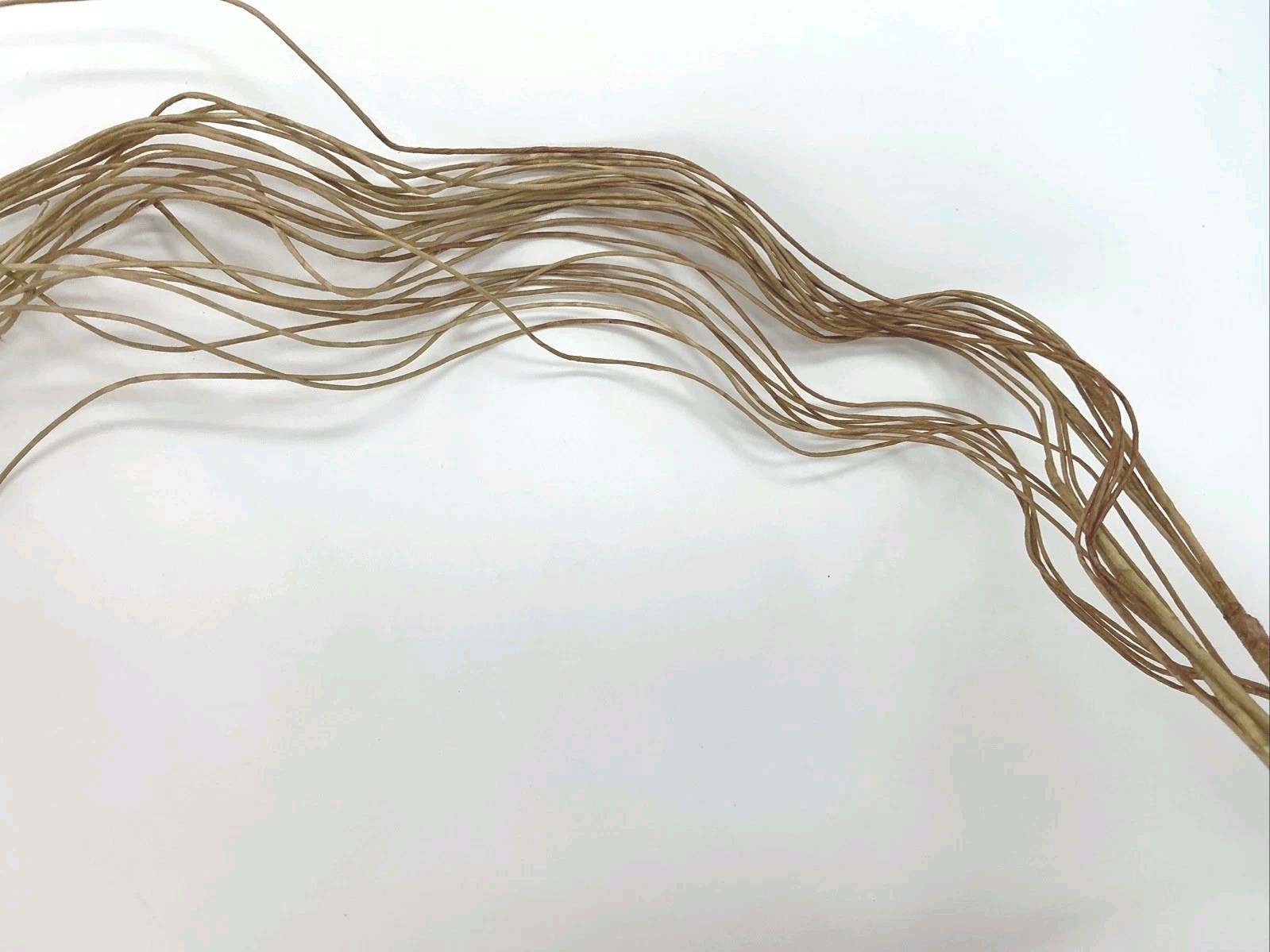 Winward Silks Curly Branch 40” Long Natural Vase Basket Filler 1 Pick NOS