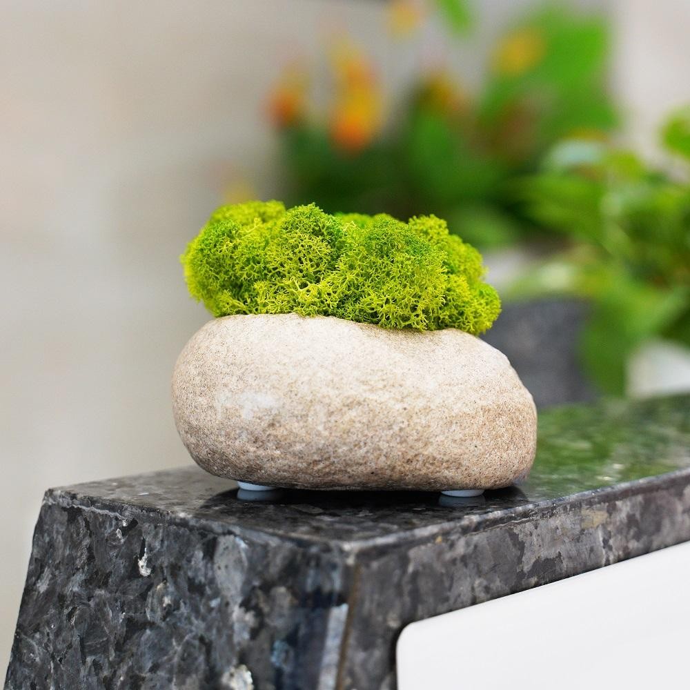 Artificial Green Moss, Eternal Life DIY Grass for Home, Garden & Mini Landscape