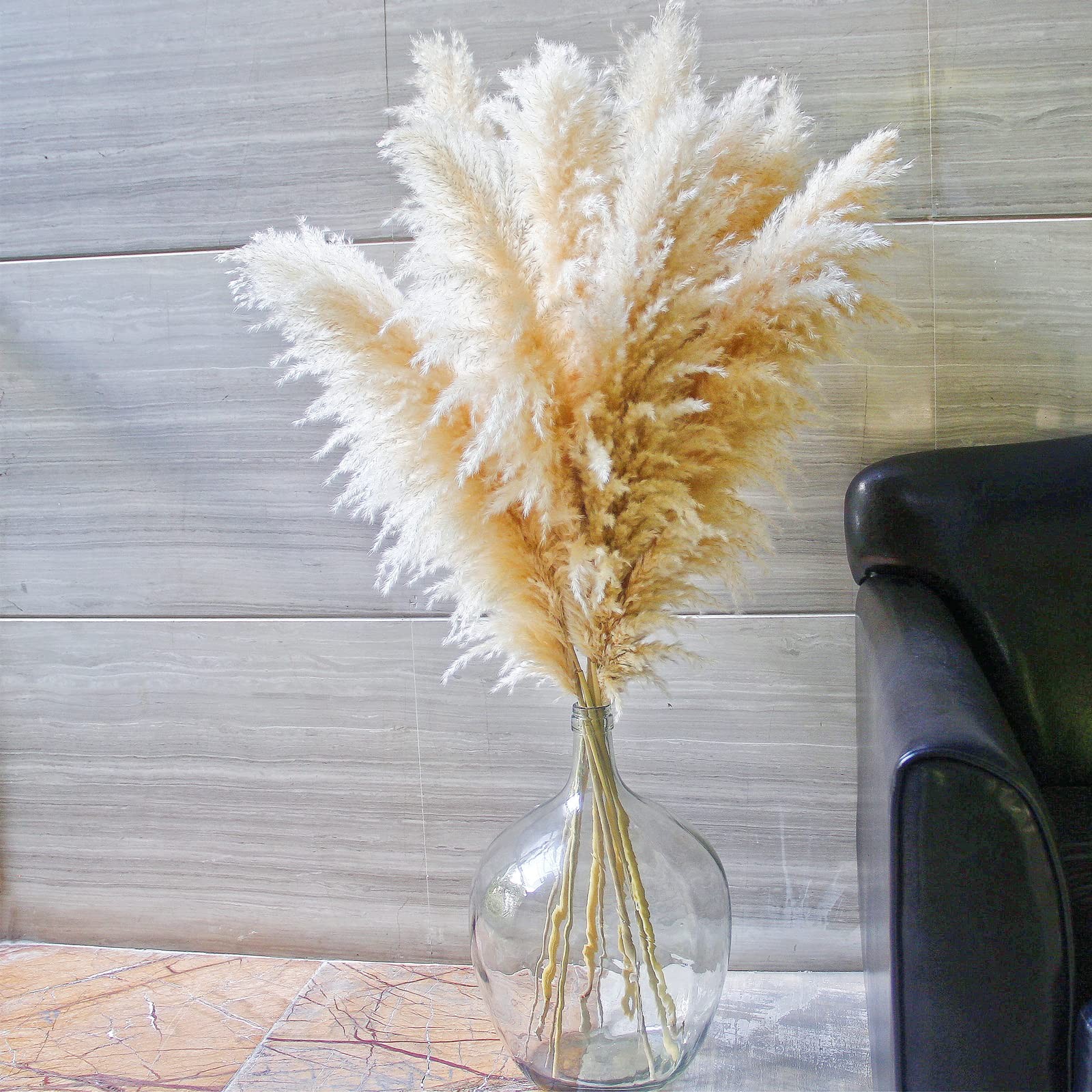 10 Stems 46″ inch Dried Pampas Grass Decor Tall, Large 10PCS-46inch, Beige
