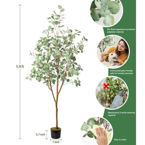 HOMLUX 71in. Eucalyptus Artificial Tree w/ Vivid Trunks in Woven Seagrass Basket