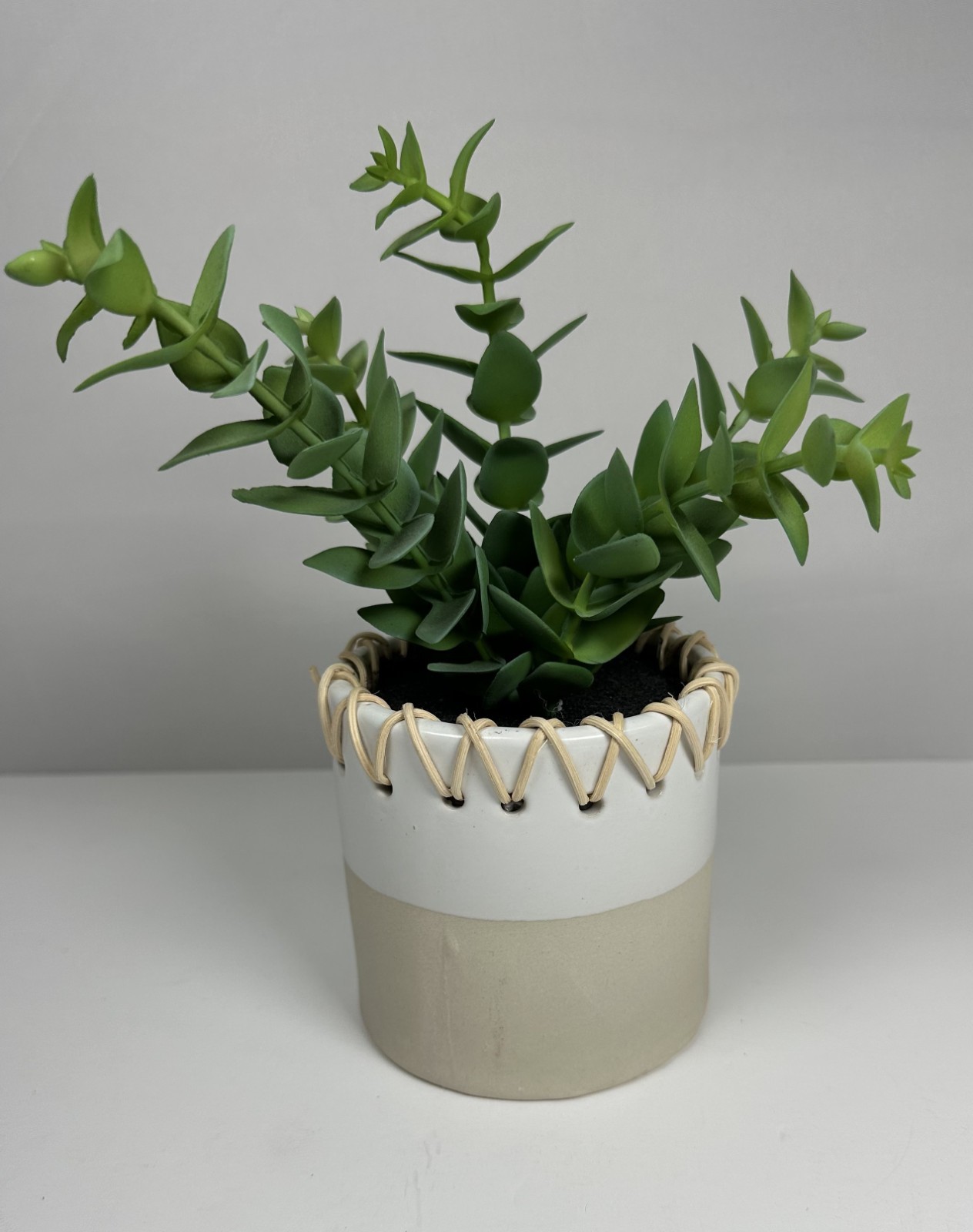 Place & Time Artificial Succulent in Twine-Wrapped Ceramic Pot–Good Nature Décor