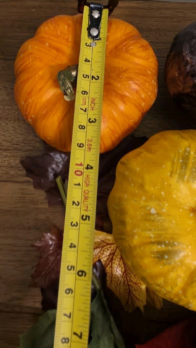 Great Lot of Decorative Fall Autumn Pumpkins Acorns Berries Bowl Vase Filler #1