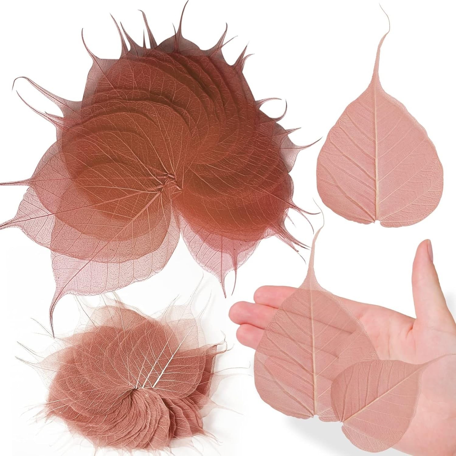 42 PCS Brown Natural Skeleton Leaves Dried Pressed Bodhi Leaf Resin Art Decor