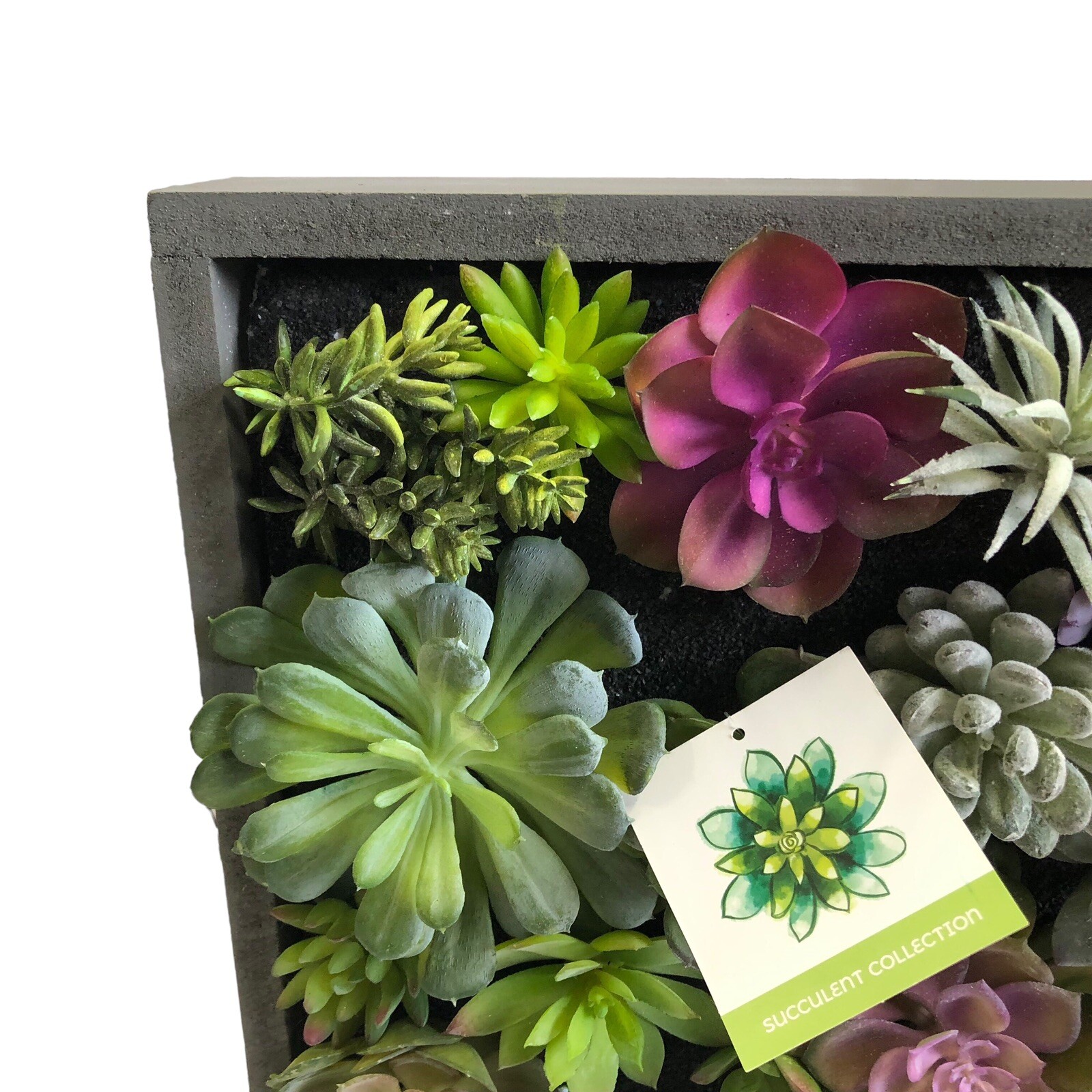 WALL OF FAUX SUCCULENT Cactus in Gray Wood Box Decor Display 12x12x3 inches New