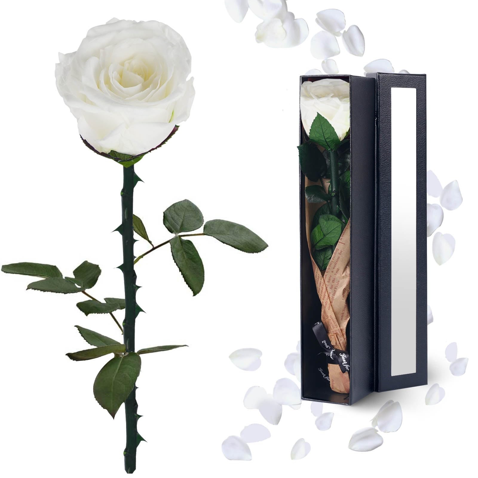1 PCS White Single Preserved Forever Rose Flowers Gifts Anniversary Women