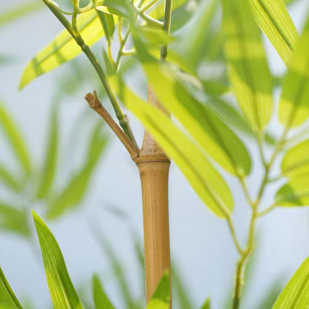 6 Ft. Artificial Bamboo Tree 24 Pack Fake Plant with Silk Leaves Real Wood Trunk