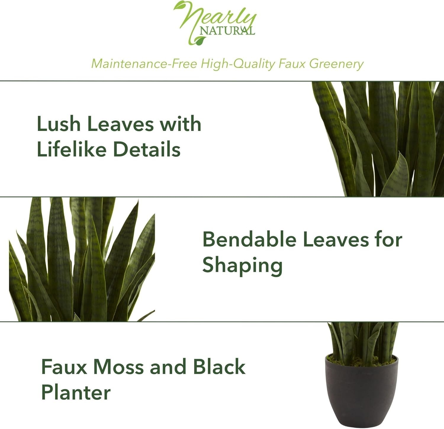 Versatile 35 Inch Sansevieria Plant for Home or Office – Black Planter Included