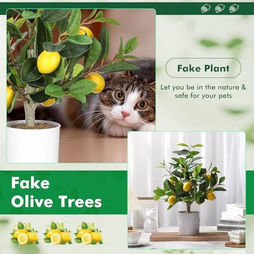 Pcs Artificial Lemon Tree 15.7 Inches Fake Artificial Potted 2 White Pot