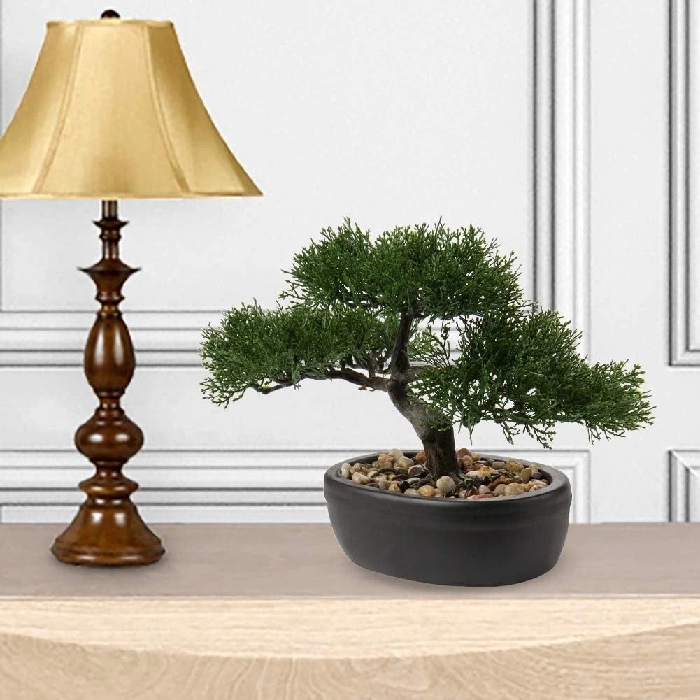 Indoor Mini Bonsai Tree with Ceramic Pot^-“