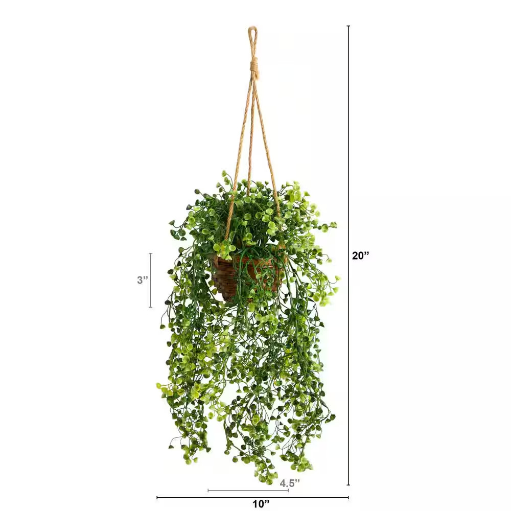 20 In. D Baby Tear Artificial Plant in Hanging Basket