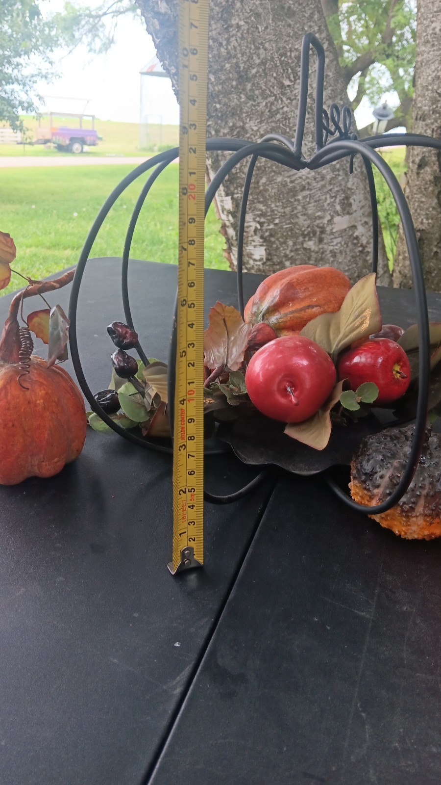 Artificial Pumpkin Apple Centerpiece in Black Metal Frame Halloween 12×24″