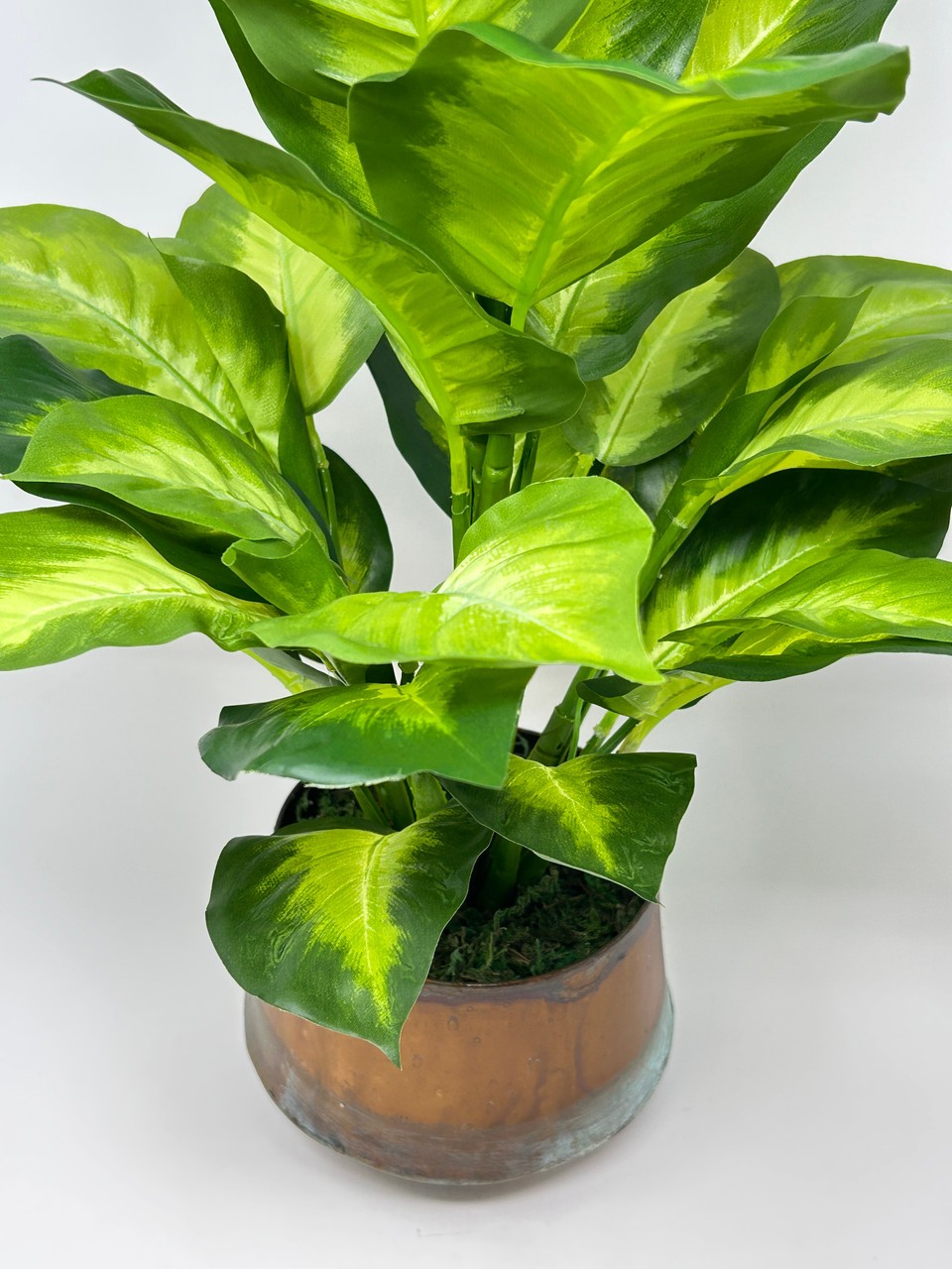 18″ Lg Artificial AGLAONEMA DIEFFENBACHIA faux Silk plant in Copper Pot