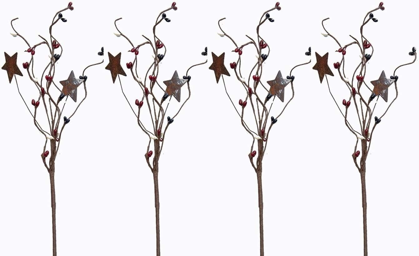 HAPPY DEALS ~ Americana Pip Picks with Rusty Stars – 4 Pc Set | 12 inch (4 Pc…