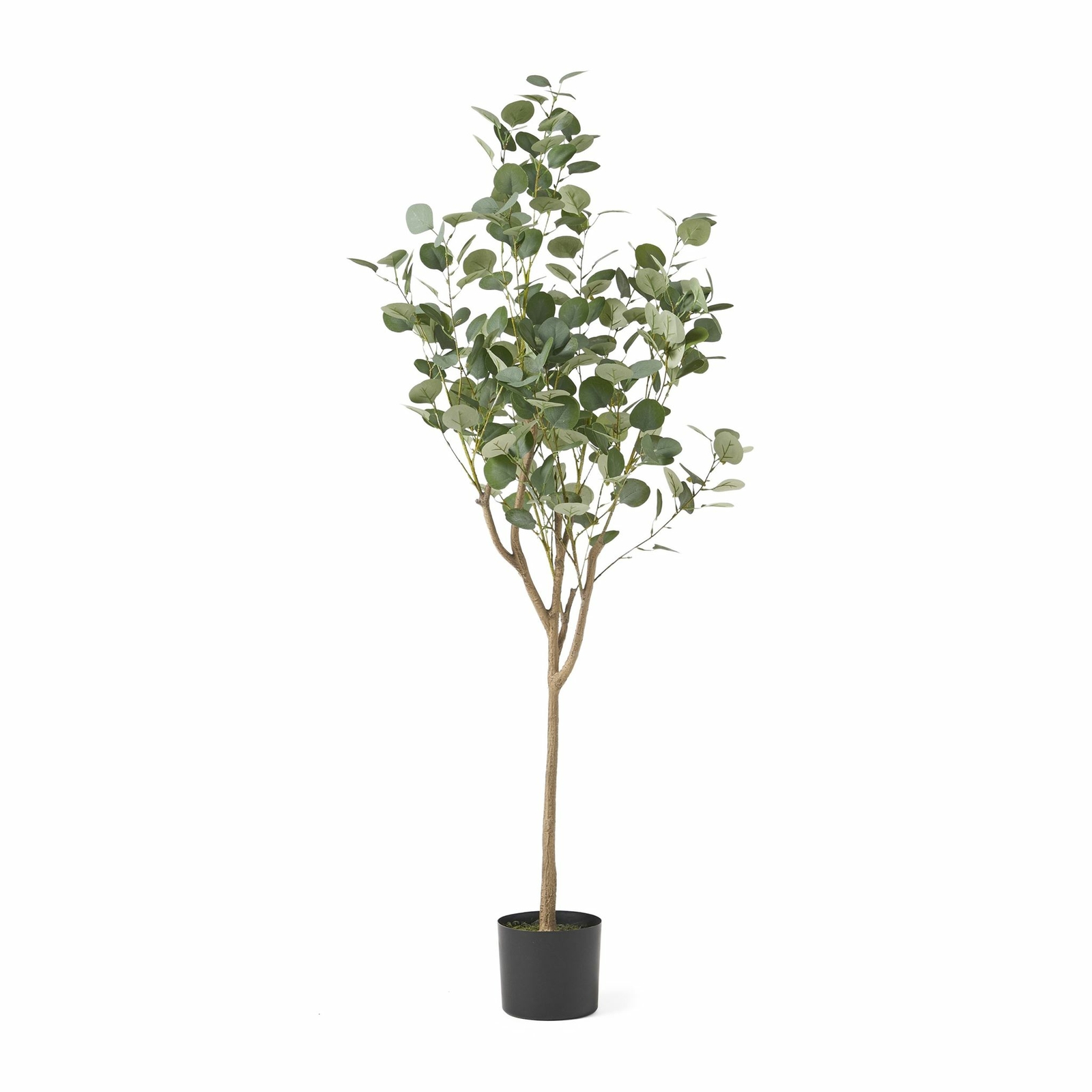Adair Artificial Tabletop Eucalyptus Tree, Green