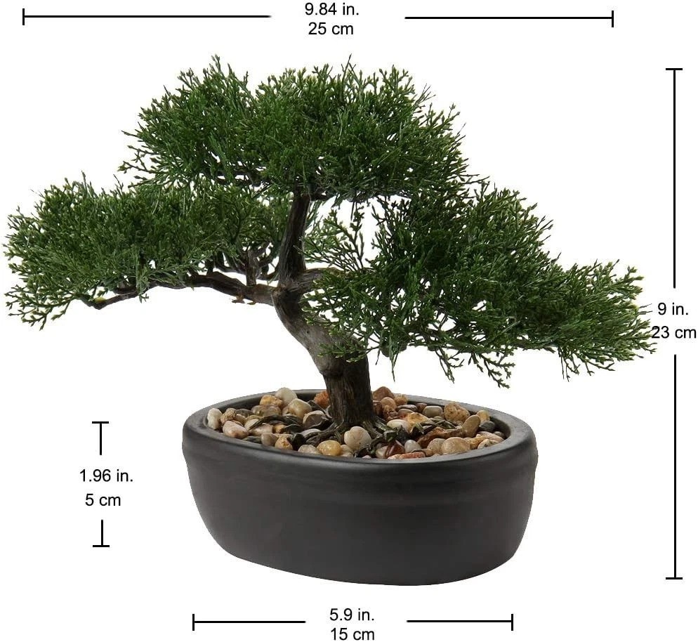 Indoor Mini Bonsai Tree with Ceramic Pot^-“