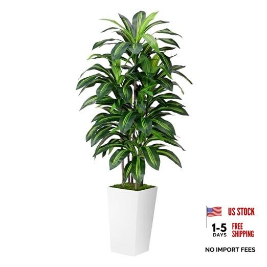Artificial Dracaena Plant Indoor 5FT – Fake Tree with Tall Planter – 5ft White
