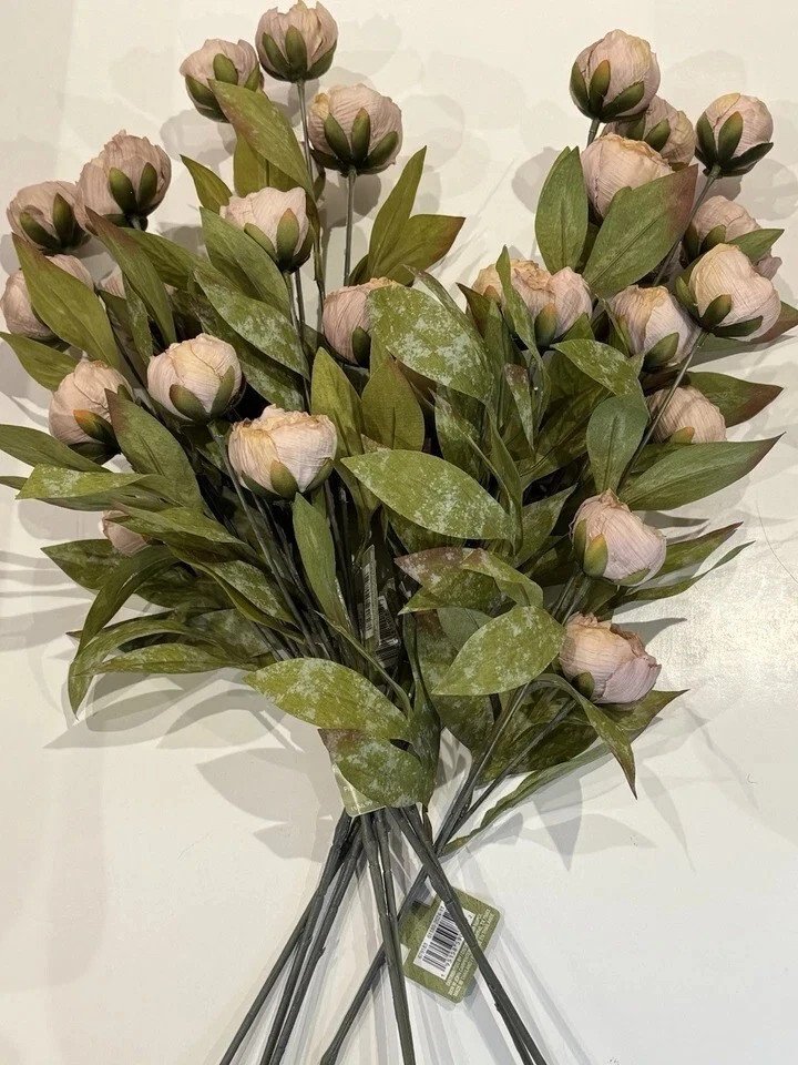 Michaels Ashland Tan Peony Stems Set of 8 – Decor TikTok Viral Flowers New