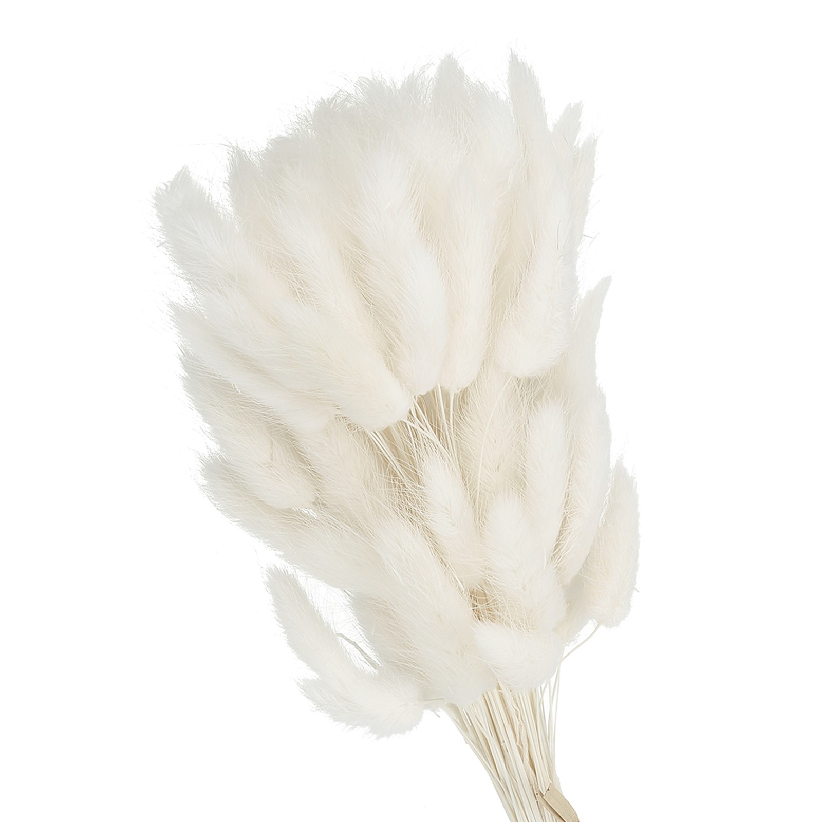 15.7in Bunny Tails Dried Flowers, 80pcs Pampas Grass Decor Rabbit Tail, White