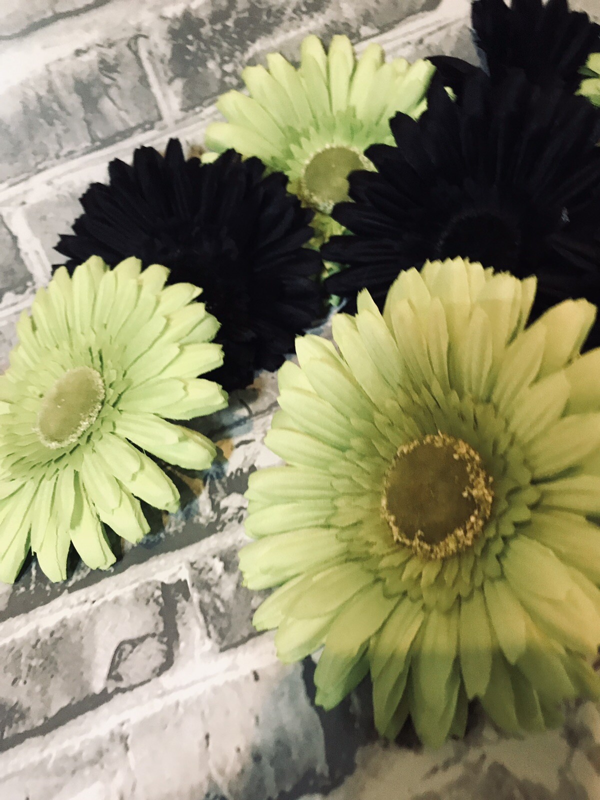 Gerber Silk Daisies 4 1/2” Flowers No Stem Black & Green Vase Fillers Crafts X8
