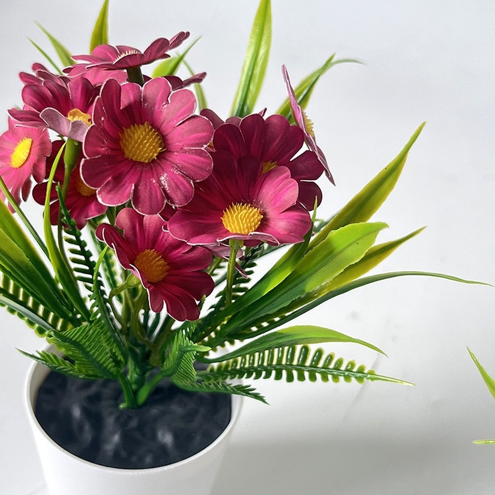 Indoor Chrysanthemum Bonsai Style Plant for Desk Nightstand Table Decor