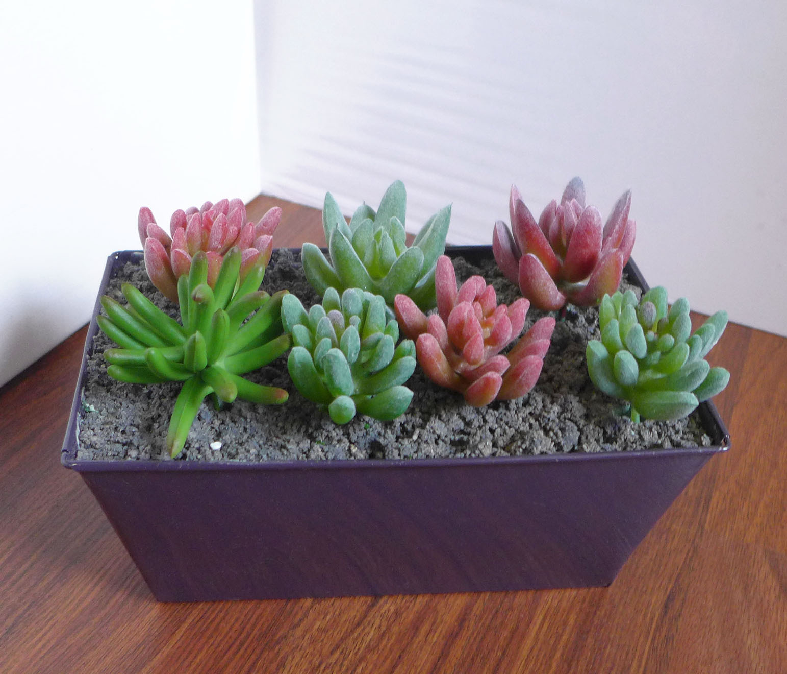 Set of 7 Artificial Flocking Mini Succulents Grass Landscape