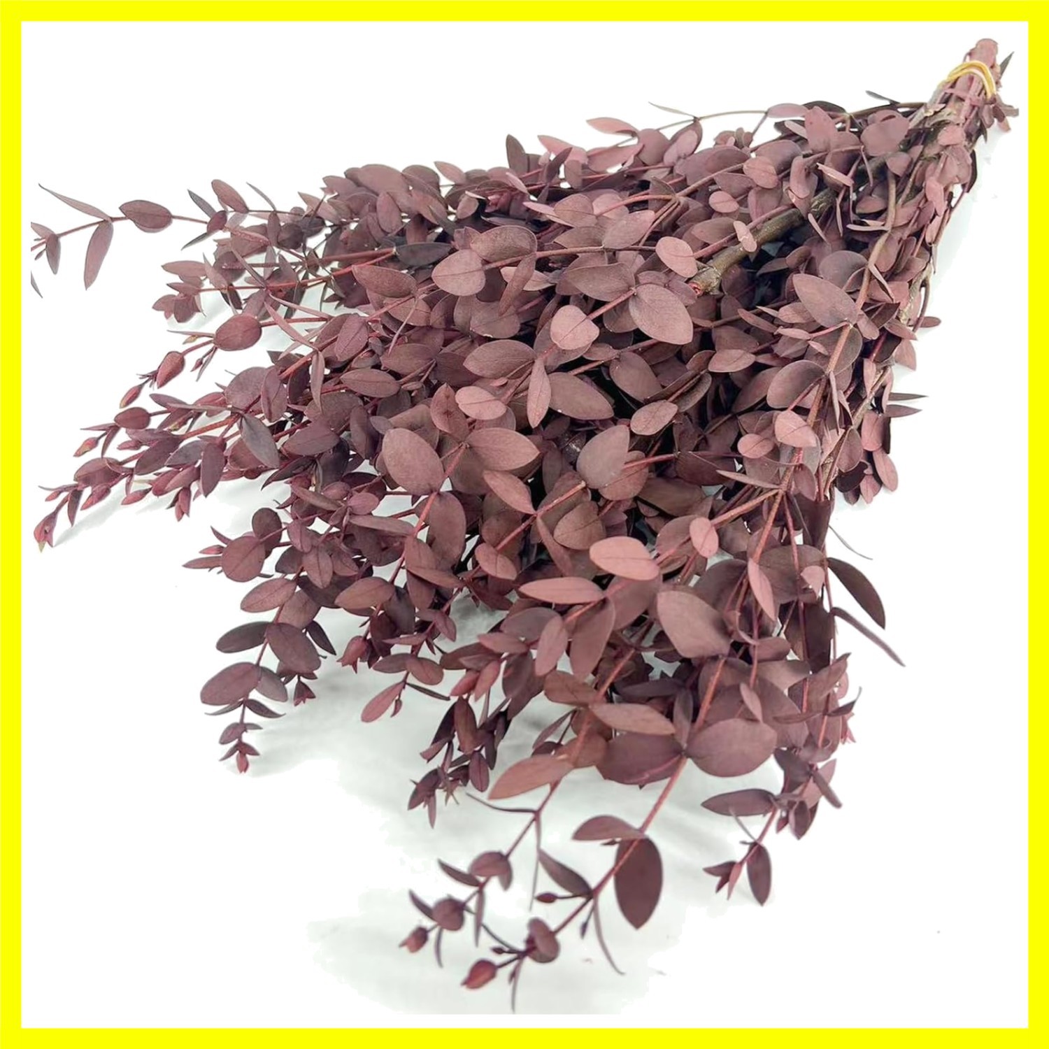 Preserved Dried Eucalyptus Greenery Stems, 20+ Pcs 16 inches Natural Long Las…