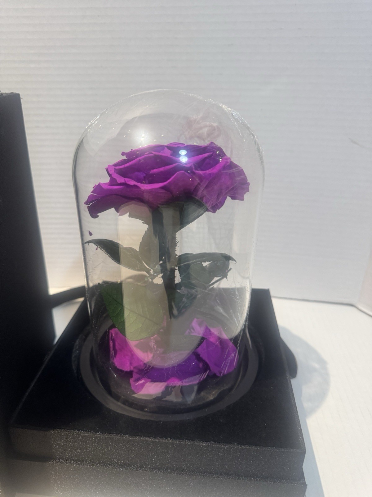 Forever Preserved Rose-Eternal Purple in Glass Dome-Disneys Beauty and The Beast