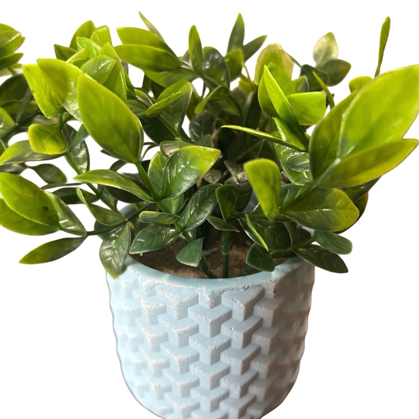 Artificial Potted Eucalyptus Plants 8” Blue Textured Ceramic Vase Set Of 2