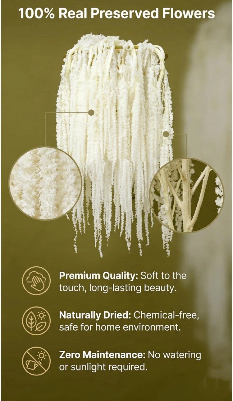 12 PCS 30 Inch Bleached Green Natural Dried Wisteria Hanging Flowers Wedding