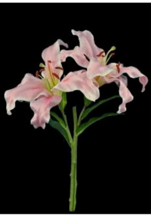 Absolutely beautiful artificial natural feel rubrum lily stem LIGHT PINK