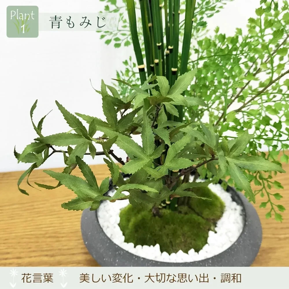 Artificial Japanese Bonsai Maple Adiantum Horsetail Plant CUPBON Made in Japan